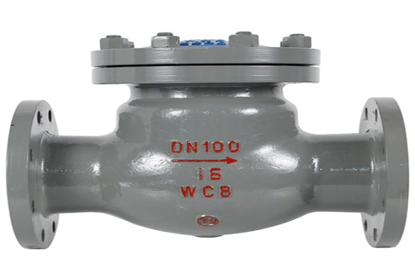 Everything You Need To Know About Flange Check Valves